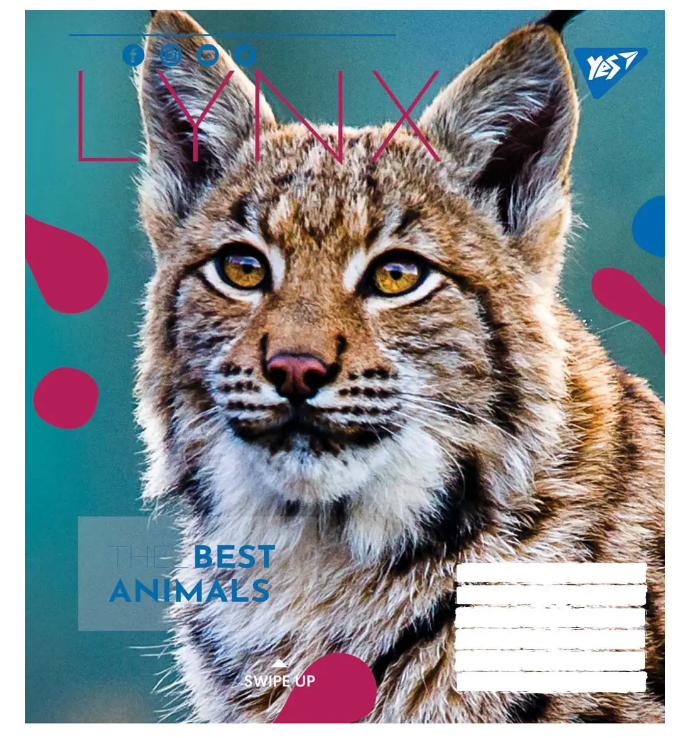 Тетрадь 36 кл. YES Animal, 765005 3
