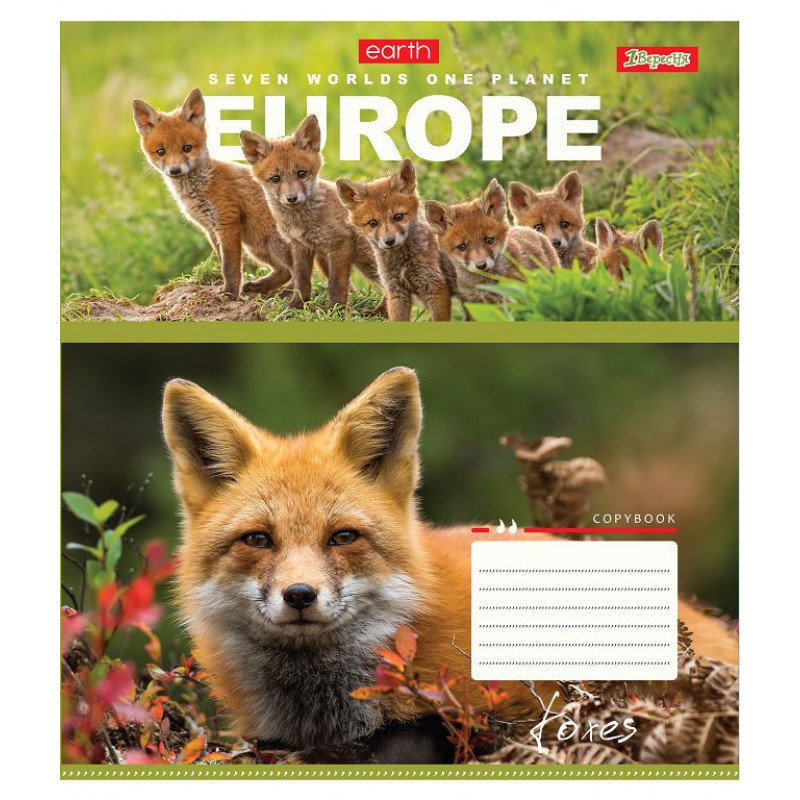 Зошит 60 кл. 1В Earth animal, 764956 1