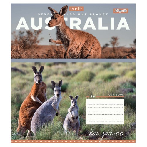 Зошит 60 кл. 1В Earth animal, 764956 2