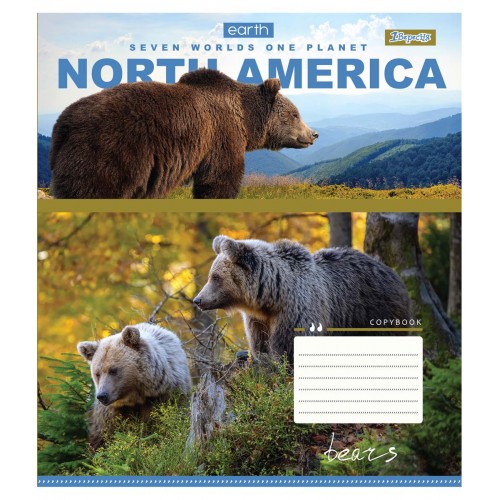Зошит 60 кл. 1В Earth animal, 764956 3