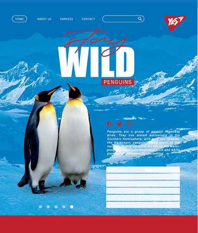Зошит 60 кл. YES Stay wild, 765045 1