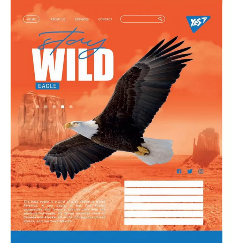 Зошит 60 кл. YES Stay wild, 765045 2