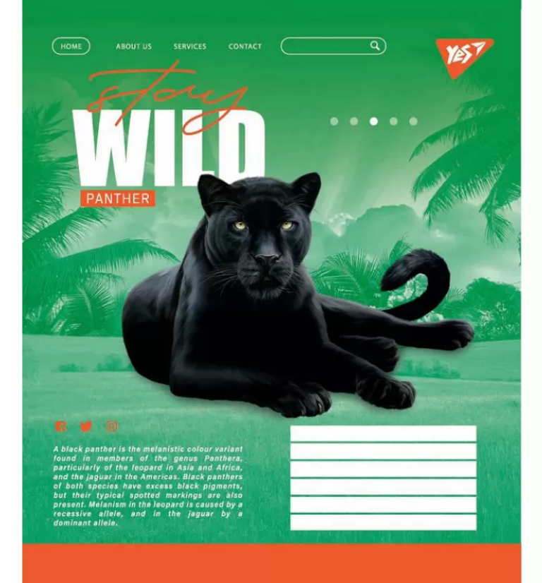 Зошит 60 кл. YES Stay wild, 765045 3