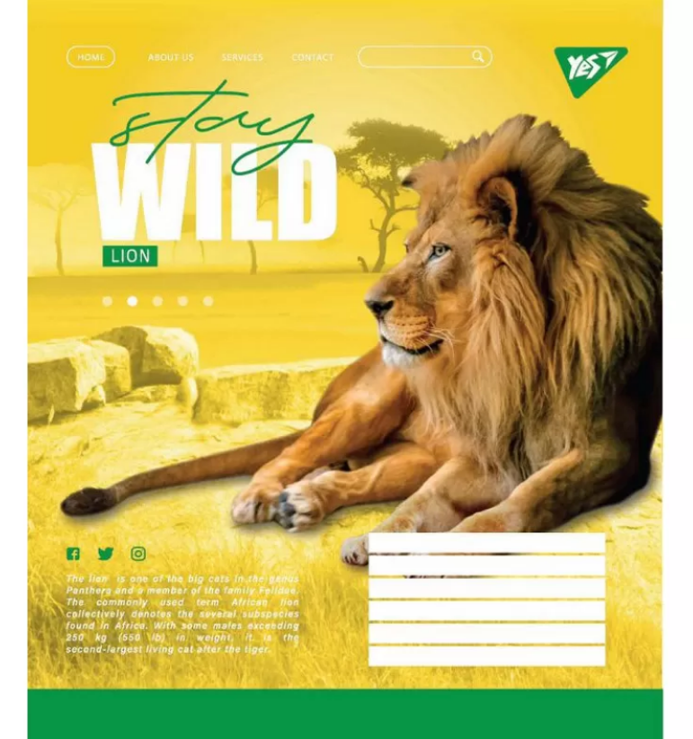 Зошит 60 кл. YES Stay wild, 765045 4