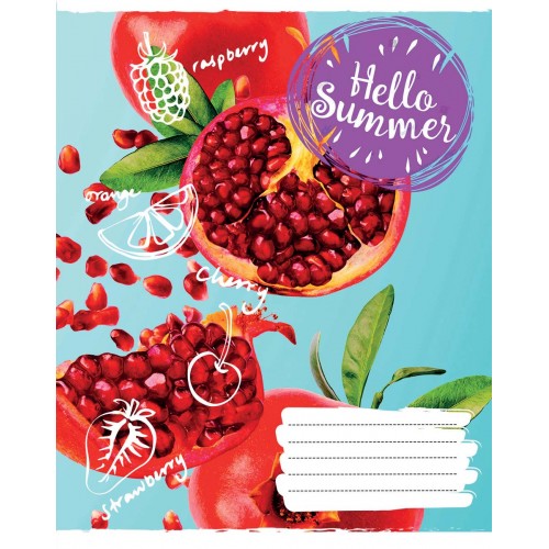Тетрадь 60 кл. 1В Hello summer, 765694 1
