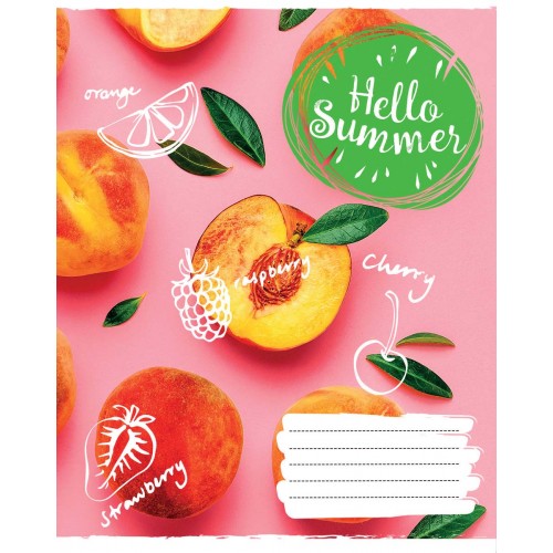 Тетрадь 60 кл. 1В Hello summer, 765694 2