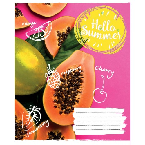 Тетрадь 60 кл. 1В Hello summer, 765694 3