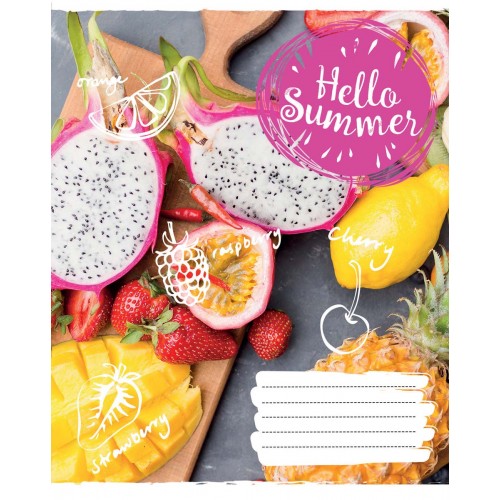 Тетрадь 60 кл. 1В Hello summer, 765694 4