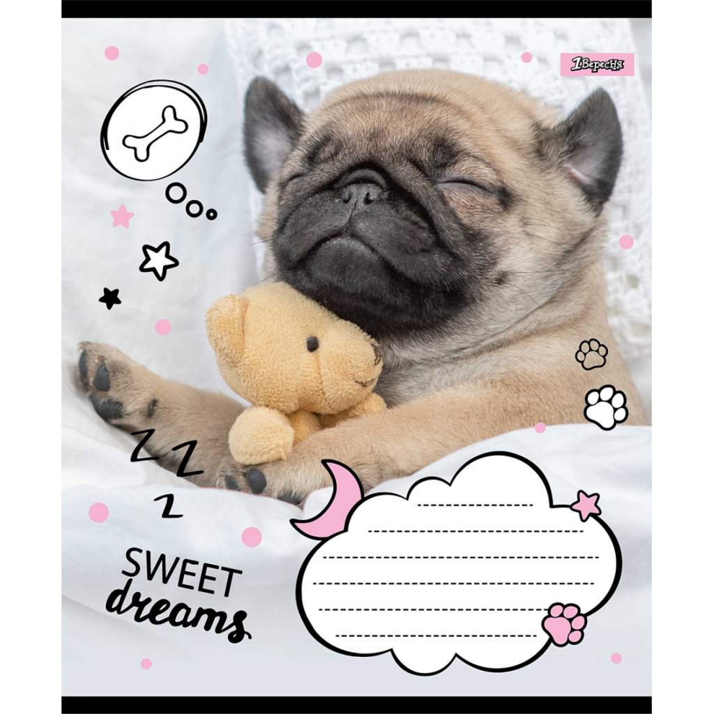 Тетрадь 18 кл. 1В Sweet dreams, 765815 1