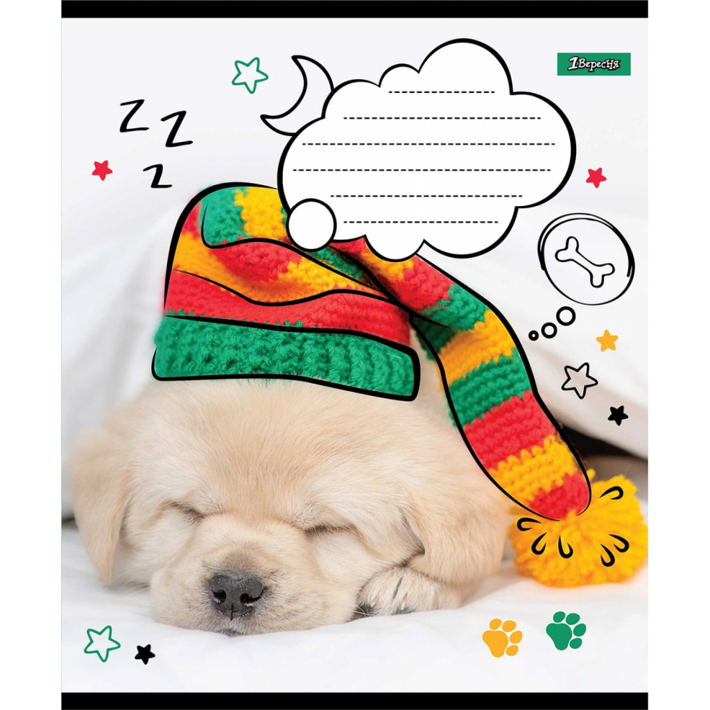 Тетрадь 18 кл. 1В Sweet dreams, 765815 2