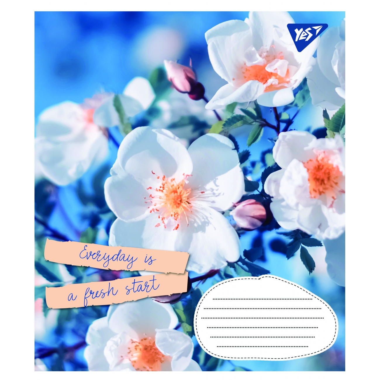 Зошит 96 кл. 1В Summer flowers, 766120 3