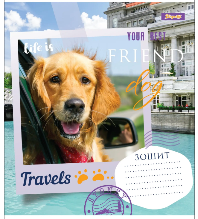 Зошит 36 лін. 1В Your Best Friend, 764609 1