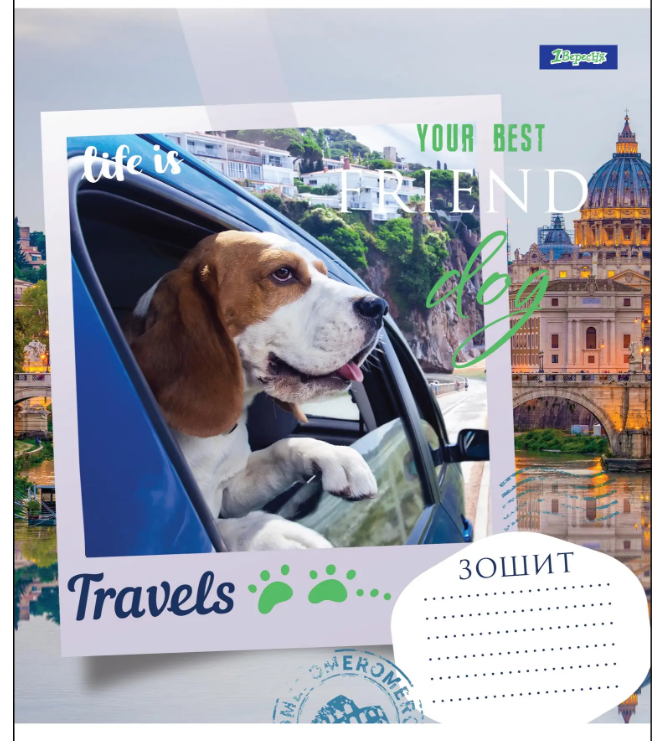 Зошит 36 лін. 1В Your Best Friend, 764609 3