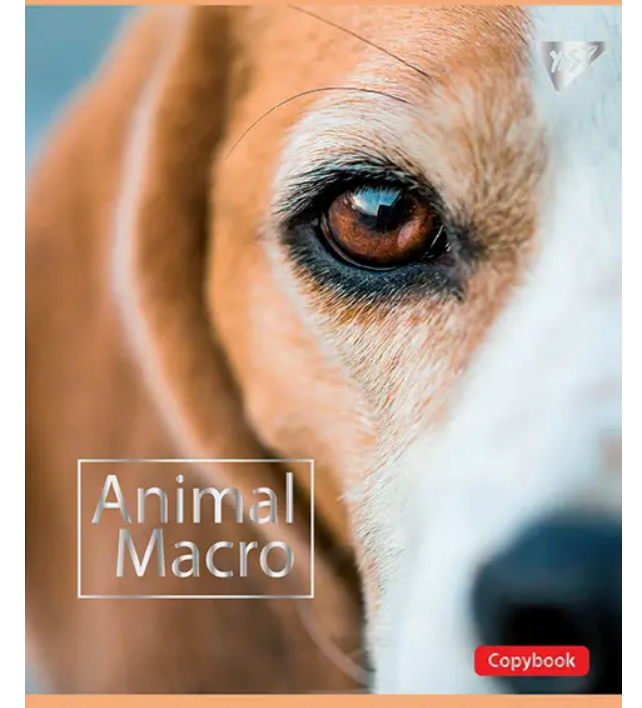 Тетрадь 12 лин. YES "Animal Macro", 764231 3