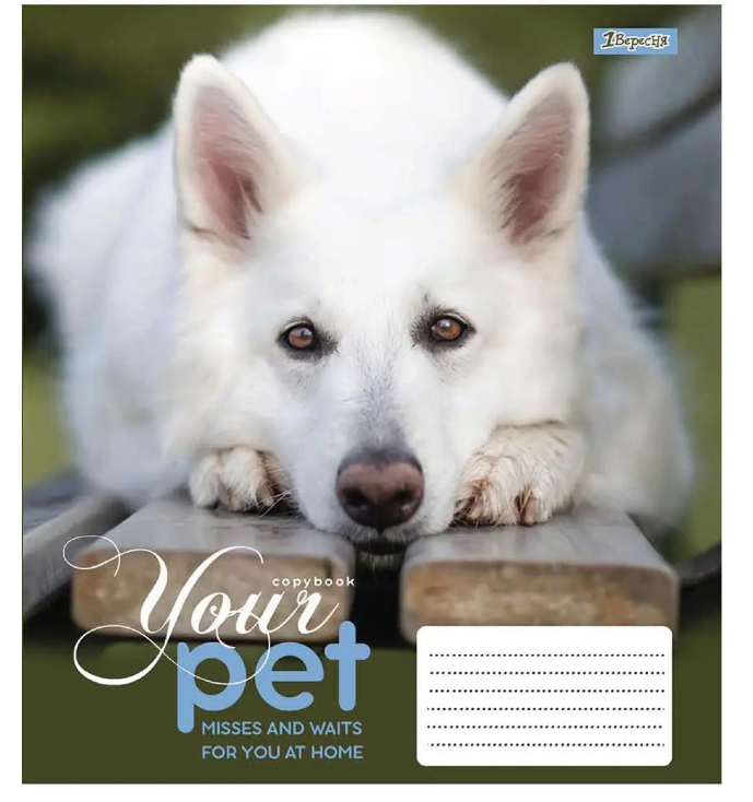 Зошит 48 лін. 1В Dog loyality, 765473 1