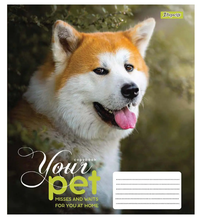 Зошит 48 лін. 1В Dog loyality, 765473 2