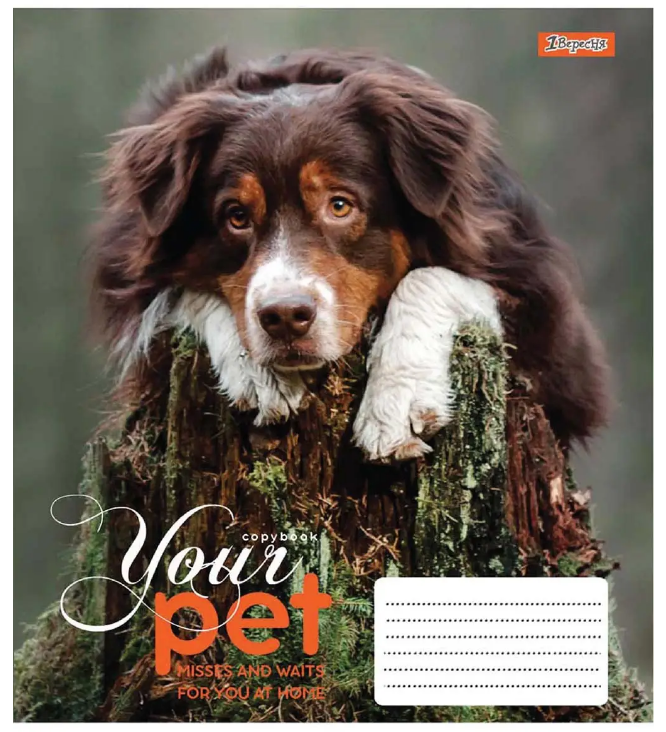 Зошит 48 лін. 1В Dog loyality, 765473 4