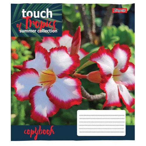 Зошит 96 лін. 1В Touch tropics, 765494 2
