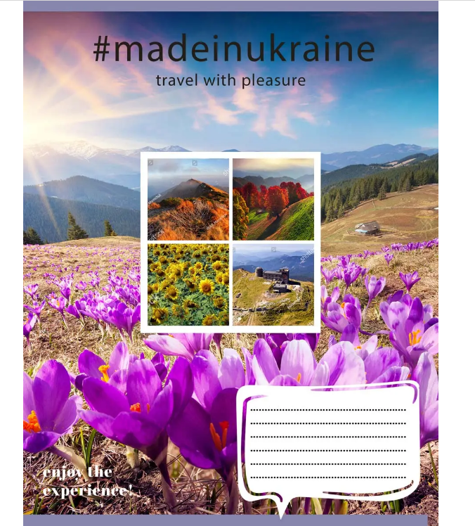Зошит 48 лін. 1В Made in Ukraine, 765691 3