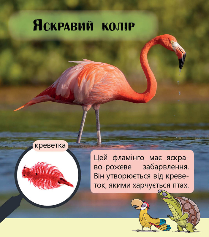Первое чтение Non Fiction: Фантастические растения и не только...Уровень 3 (у), 288588 1