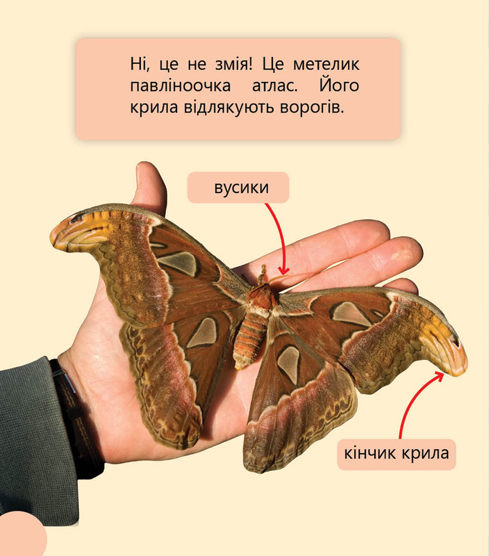 Первое чтение Non Fiction: Фантастические растения и не только...Уровень 3 (у), 288588 3