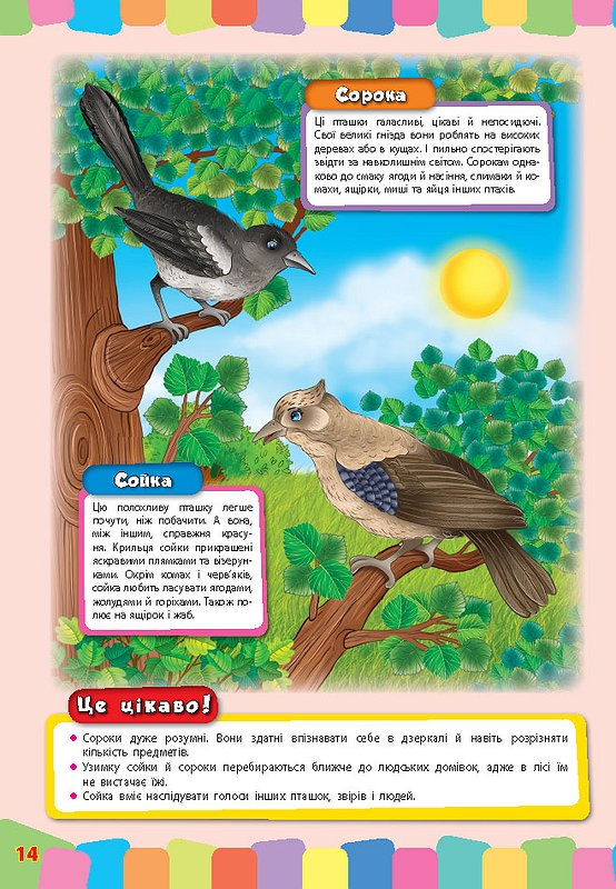 Книга Розвивайка для малышей. Дикие животные (3354) 1