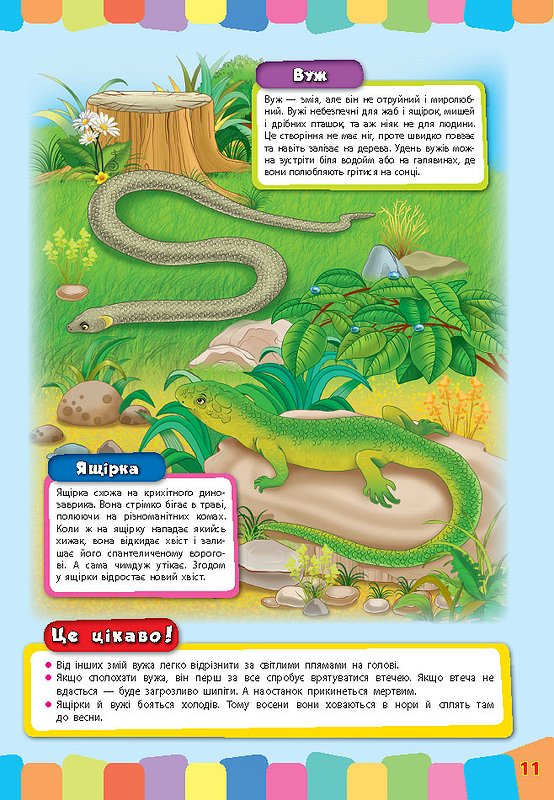 Книга Розвивайка для малышей. Дикие животные (3354) 3