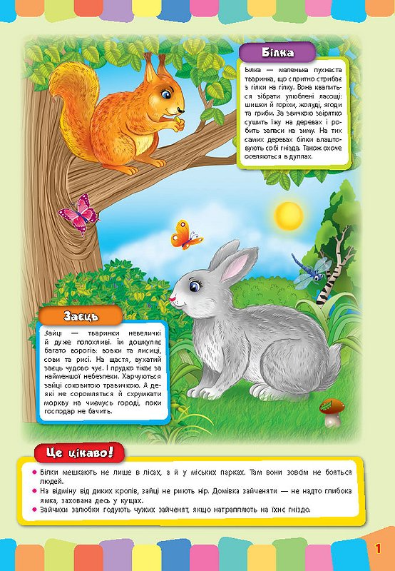 Книга Розвивайка для малышей. Дикие животные (3354) 4