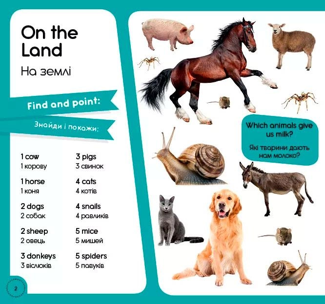 Книга "100 слів про тварин світу. 100 words about animals of the World" (у/а) (6452) 1