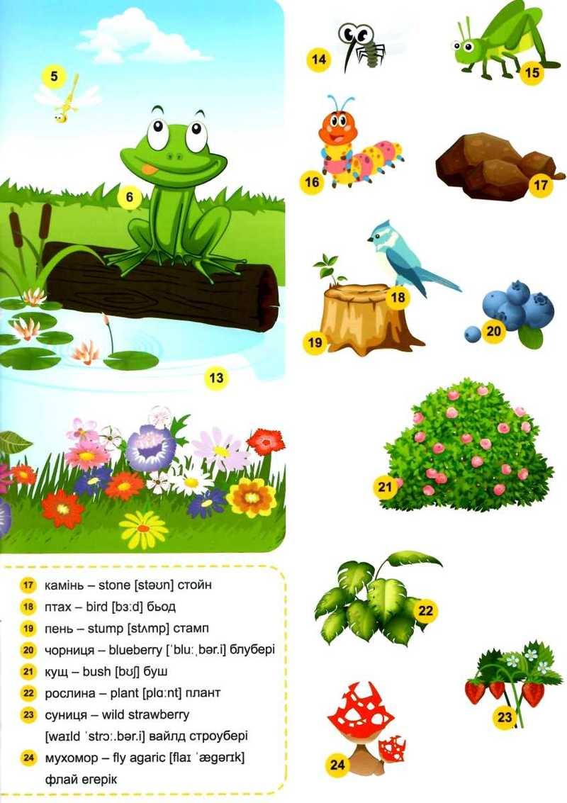 Книга "Funny English Острів скарбів (+186 наліпок)" (у), 05047 2