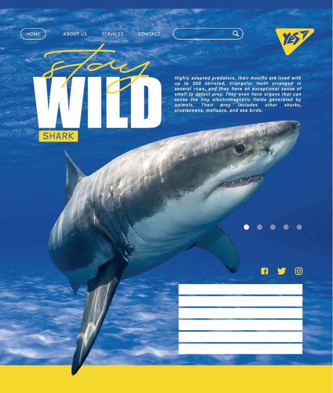 Тетрадь 48 кл YES Stay wild, 765029 1