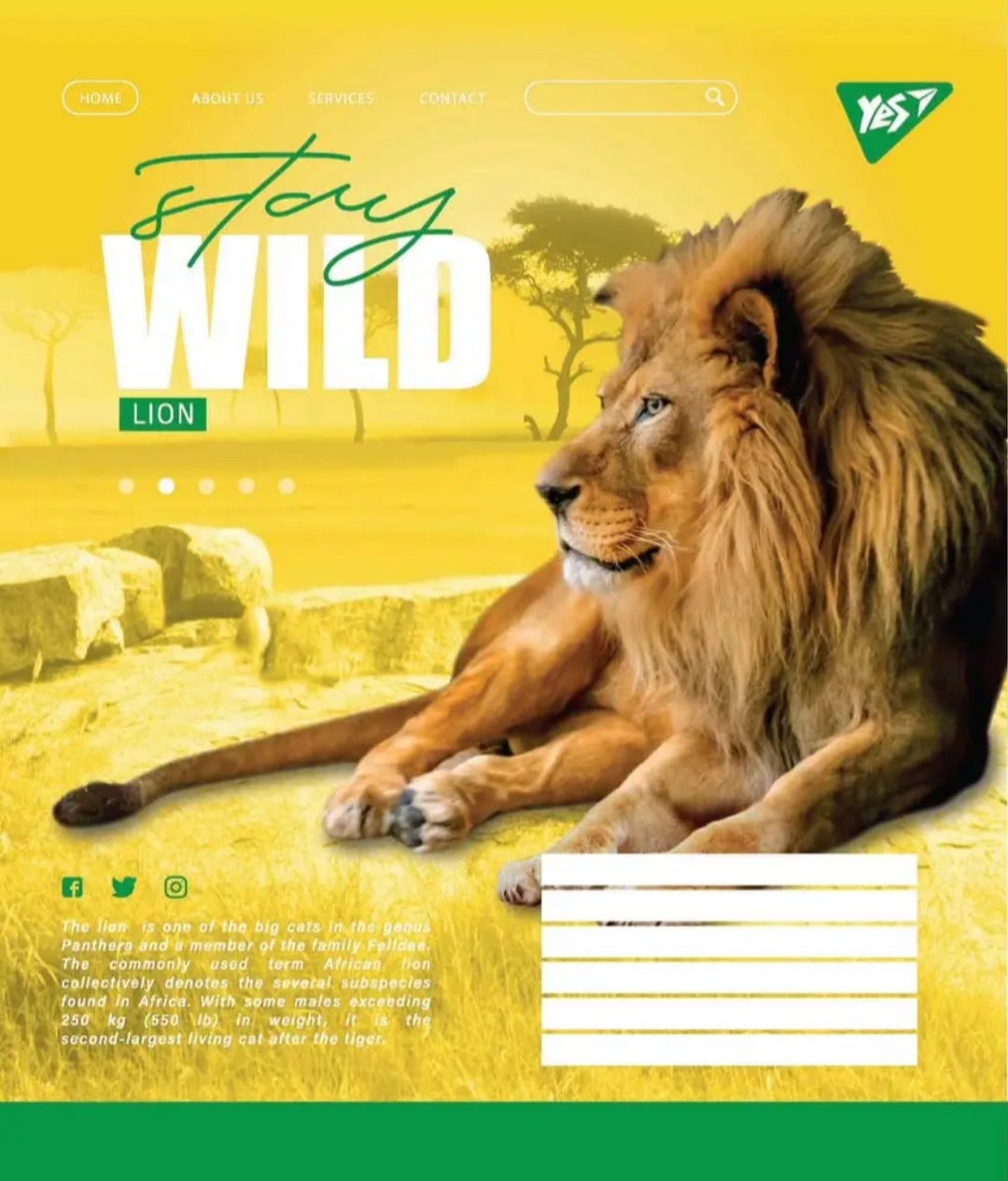 Тетрадь 48 кл YES Stay wild, 765029 2