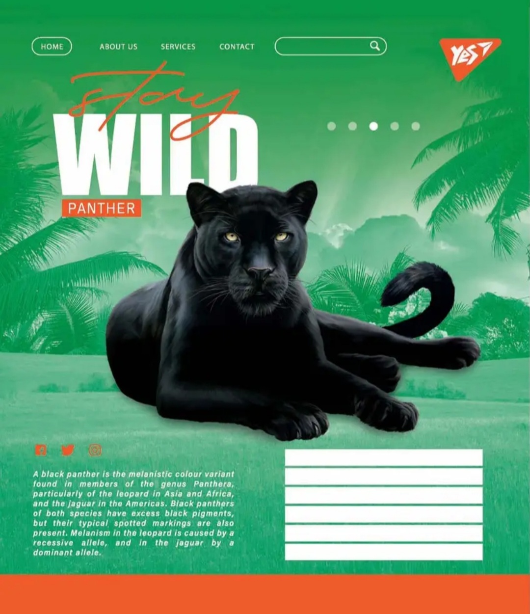 Тетрадь 48 кл YES Stay wild, 765029 4