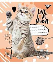 Тетрадь 12 лин. 1В I Meow You, 764470 1
