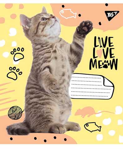 Тетрадь 12 лин. 1В I Meow You, 764470 2