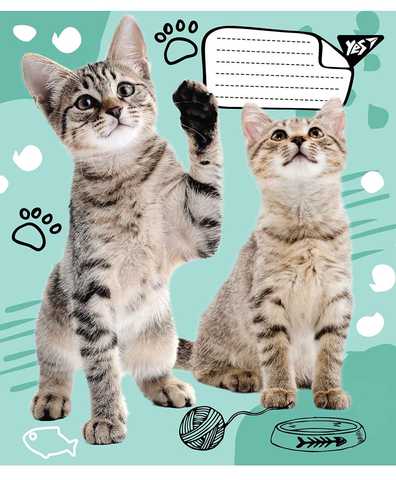 Тетрадь 12 лин. 1В I Meow You, 764470 3