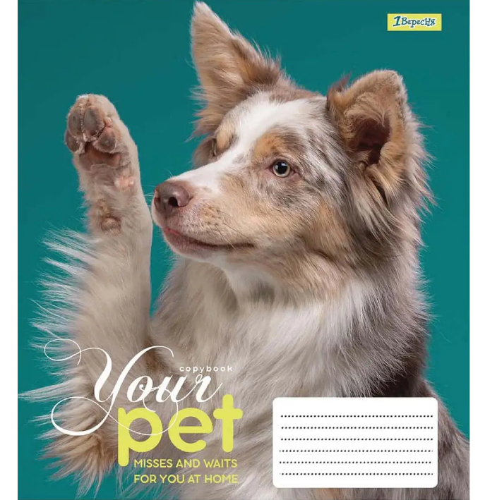 Тетрадь 12 лин. 1В Dog loyality, 765418 1