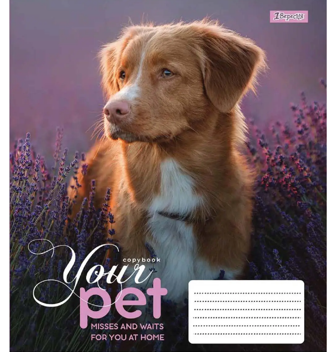 Тетрадь 12 лин. 1В Dog loyality, 765418 2