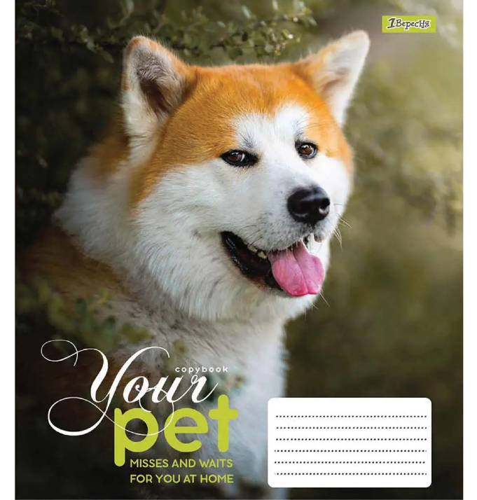 Тетрадь 12 лин. 1В Dog loyality, 765418 3