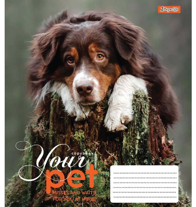 Тетрадь 12 лин. 1В Dog loyality, 765418 4