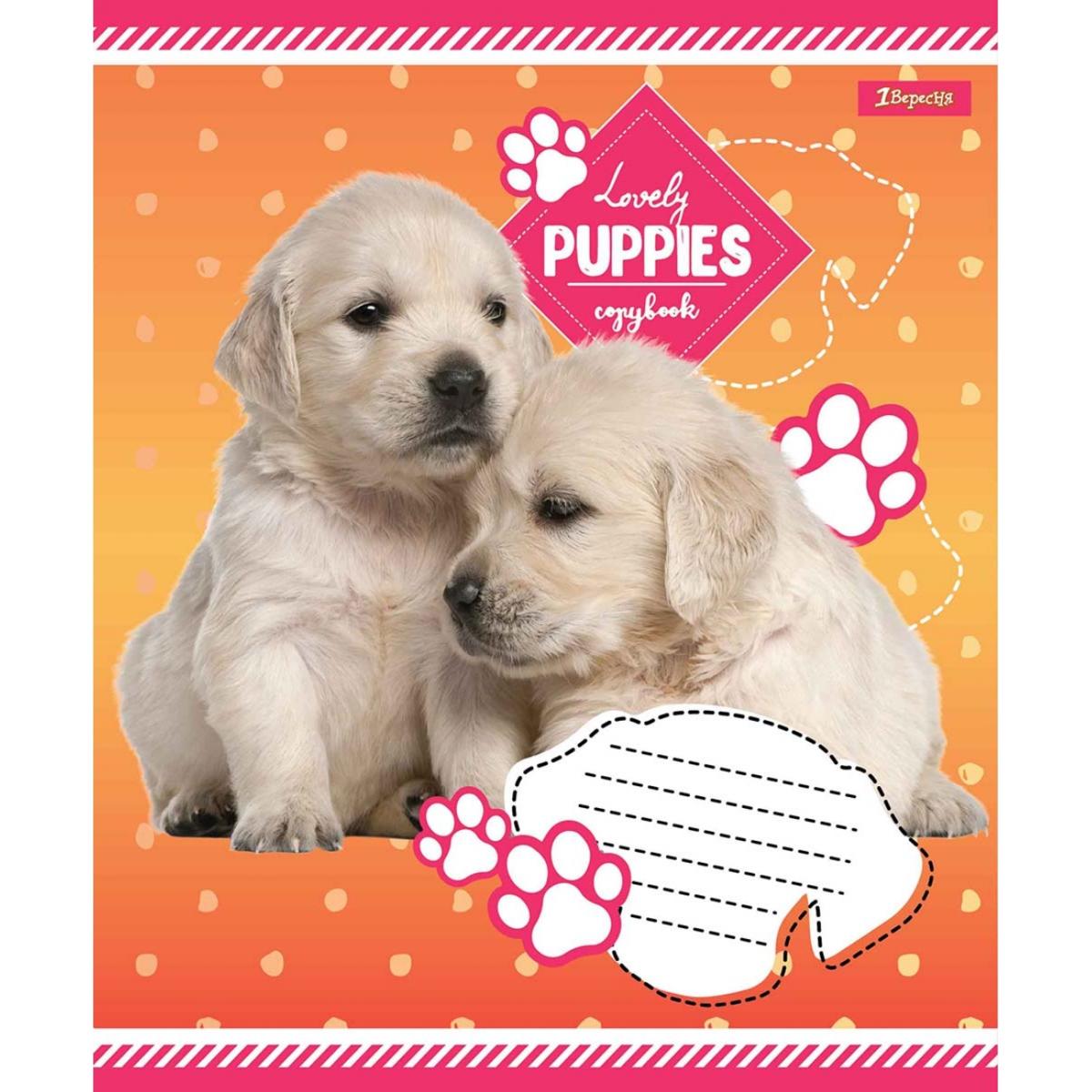 Тетрадь 12 лин. 1В Lovely puppies, 765419 1