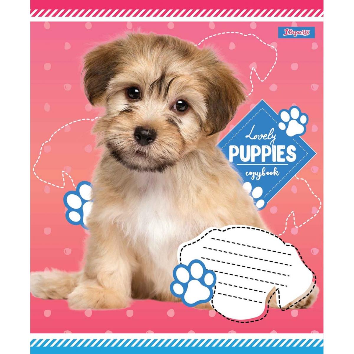 Тетрадь 12 лин. 1В Lovely puppies, 765419 2