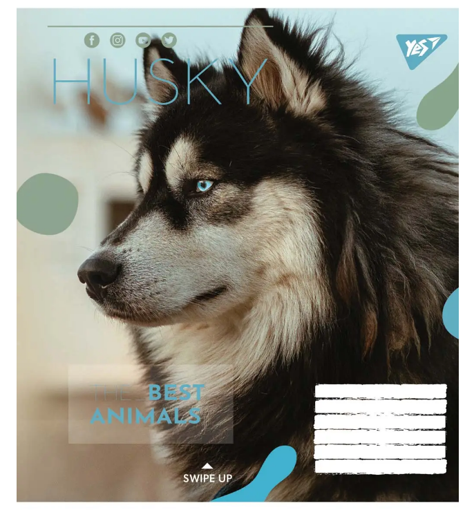 Зошит 48 кл YES Animal, 765021 2