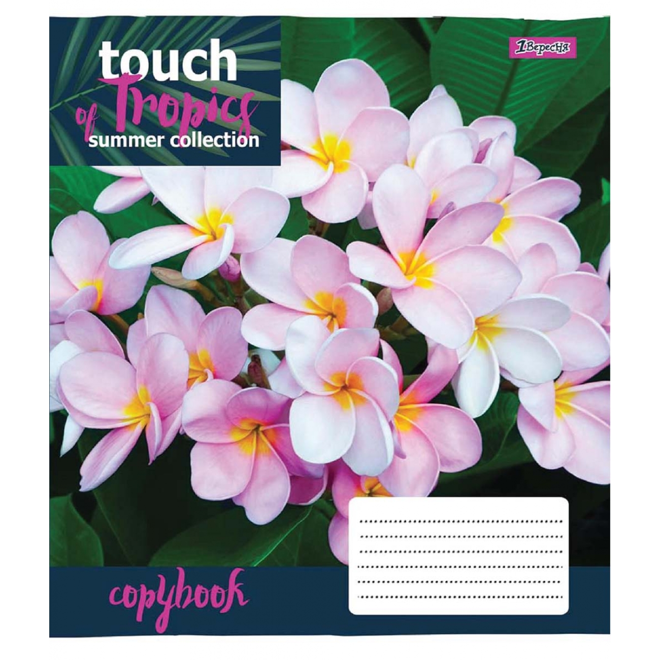 Зошит 48 кл. 1В Touch tropics, 765469 3