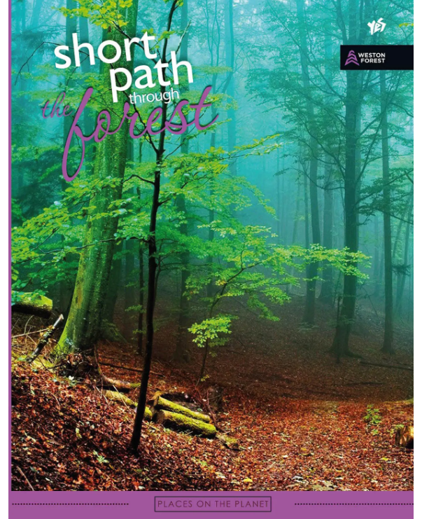 Зошит А4 96 кл. YES скоба Forest Path, 891371 (8094) 1
