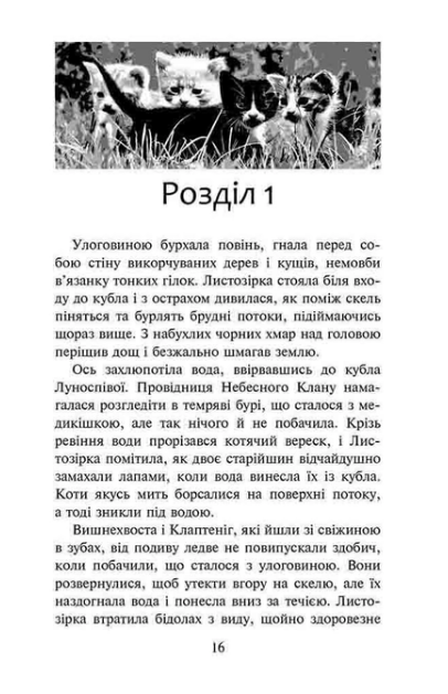 Книга "Гантер Э. Коты - воины. Судьба Небесного Клана. Специальное издание" (у) (9399) 1