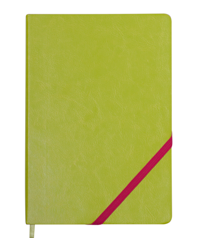 Блокнот деловой Lollipop А5 96 л. чистый, обл. искусственная кожа, салатовый, BM.295003-15