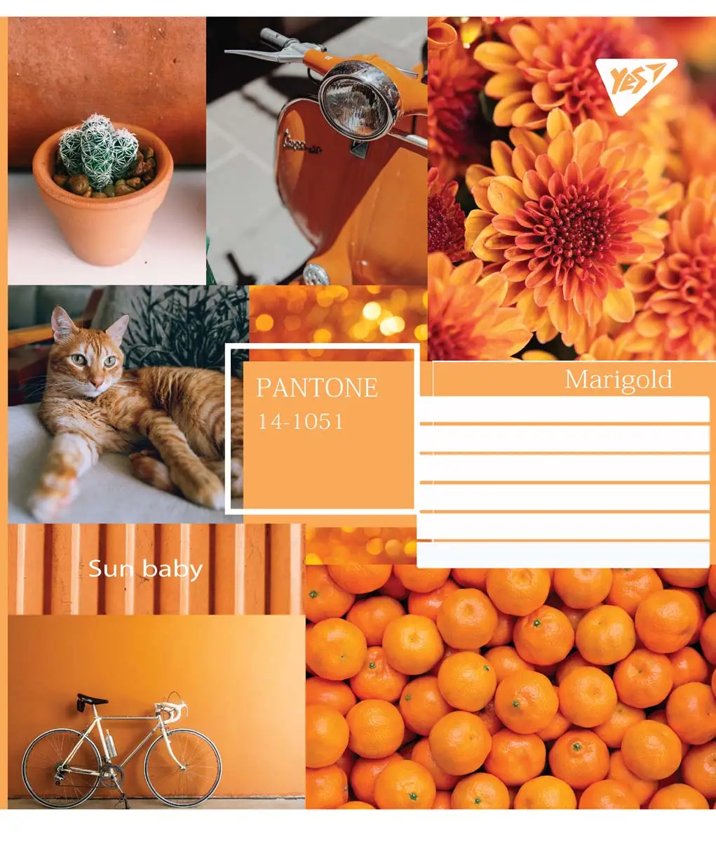 Зошит 96 кл. YES Collage pantone, 765054 1