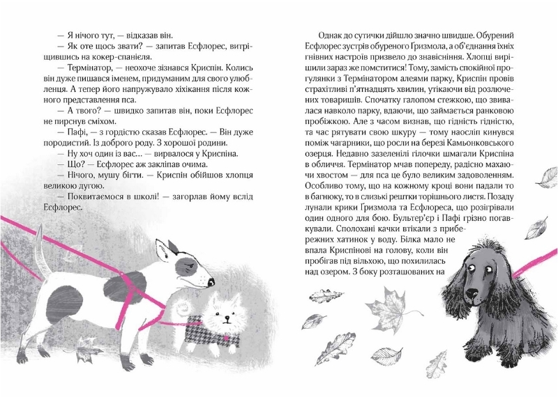 Книга "Космовська Б., Касдепке Ґ. Великий вибух, або К. проти К." (у) (4703) 2