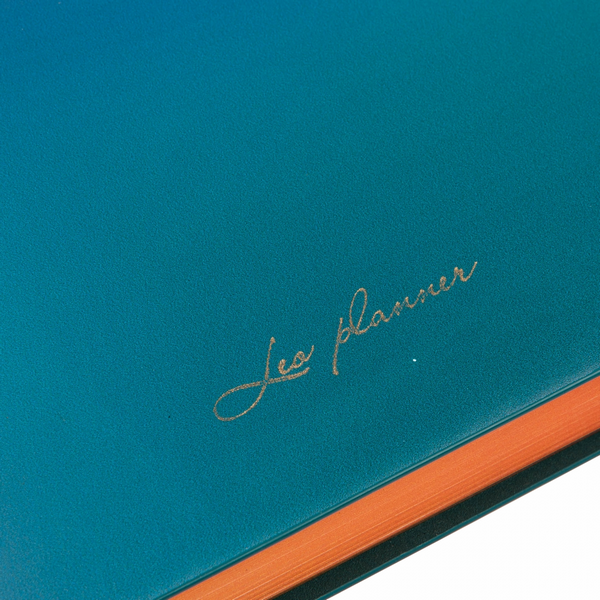 Ежедневник датированный А5 2024, "Riviera", твердый, 368 стр., градиент, 252482, Leo Planner 8